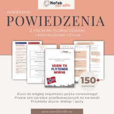 Veien til flytende norsk – norweskie powiedzenia i wyrażenia