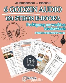 Audiobook - praktyczny norweski
